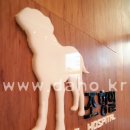 조항일동물병원 이미지
