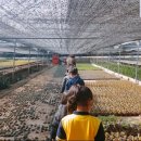 해달별유치원 이미지