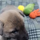 밤골농장 이미지