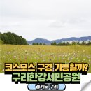 코스모스길14번길 | 구리한강시민공원 코스모스 주차장 꿀팁 실시간 후기