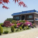 정가네 민박 이미지