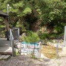 하늘과 소나무 | 춘천 글램핑 소나무 세상 방문 후기｜춘천 캠핑장 추천