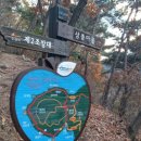 심항산 유아숲체험원 이미지