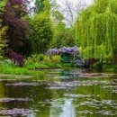 모네의 정원 이미지