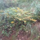 매전면사무소 이미지