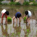버섯구지체험마을 이미지