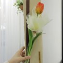 마르멜라든