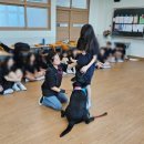 광양골약중학교 | [스카이교육] - 광양골약중학교 진로직업체험 2025.05.30