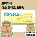 가나기업주식회사 | 하루 한 조각의 달콤한 여유, 일본 초콜릿 끝판왕 다스 화이트 후기