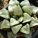 (주)성영 이미지