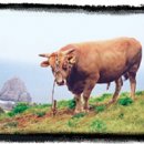 산두꺼비식당 이미지