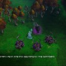 워크래프트 3 리포지드 근황 이미지