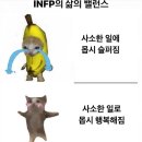 시즈닝 페퍼 이미지