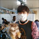 킴스애견미용 이미지