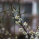 금호동 장미아파트 이미지