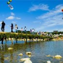 새이모퉁이 이미지