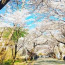 (주)드라이브트래블 이미지