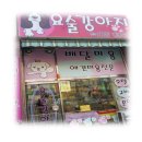 강아지 멋내기 이미지