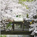 행암로314번길 이미지