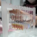 식사동네일 네일 또 놀자 6월 이달의아트 구아바네일, 가성비 풍동네일 후기