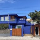 심지방코지 이미지