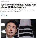 윤네이처