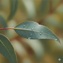 백석대학교 기독교전문대학원 | 비로소 당신이라는 존재를 만나는 상담사_서연주 선생님 소개_제주심리상담센터 이너프