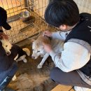 동행약품 이미지