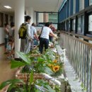 거제고현중학교 이미지