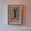 박혁동 카카오 검색결과