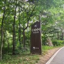 남해편백자연휴양림 캠핑장 이용 후기! 좋은 자리는?