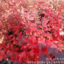 나무네농장 이미지