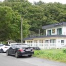 앨리스코리아켄넬 이미지