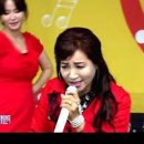 비디오일번지 이미지