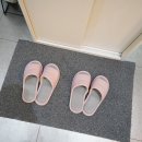 볼리아 송파점