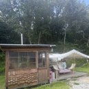 티지전기차 | 강화도 감성 카라반 숲속 힐링 여행, 어반티지 칼라이트 크림