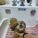 뚜니살롱 이미지