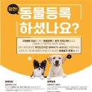 사랑실천동물병원 이미지