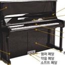 단비피아노 이미지