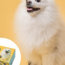 슈즈팩토리 - 서구 대남대로 452 | 슈즈팩토리