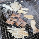 고기무한무료 에스티 네이버블로그