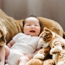 보림스튜디오 - 경주시 백률로 19 | 보림스튜디오