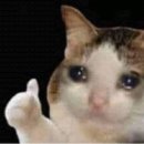 일칠공