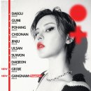 헤어팡팡&가발 이미지