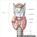 갑상선암 이기고 `오늘만 같아라` 이미지