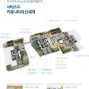디에스틴