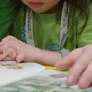 그림책티칭지도사 이미지