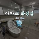 오토오아시스 물금 신도시점 | 양산 청소업체 추천! 가정집 화장실 정기청소로 쾌적함을 유지하는 방법 (클린오아시스)
