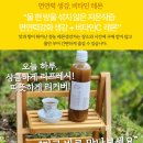 우리생강 식품 | 임산부 소화제 대신! 마켓청농 레몬생강차 솔직 후기