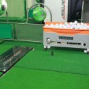 알바트로스 스크린골프 이미지